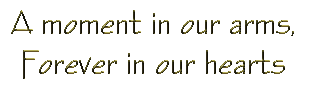 momentinarms.gif